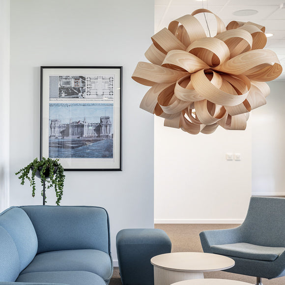 Agatha Bolla Suspension