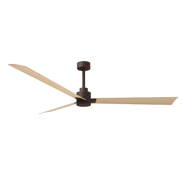 Alessandra Outdoor Ceiling Fan