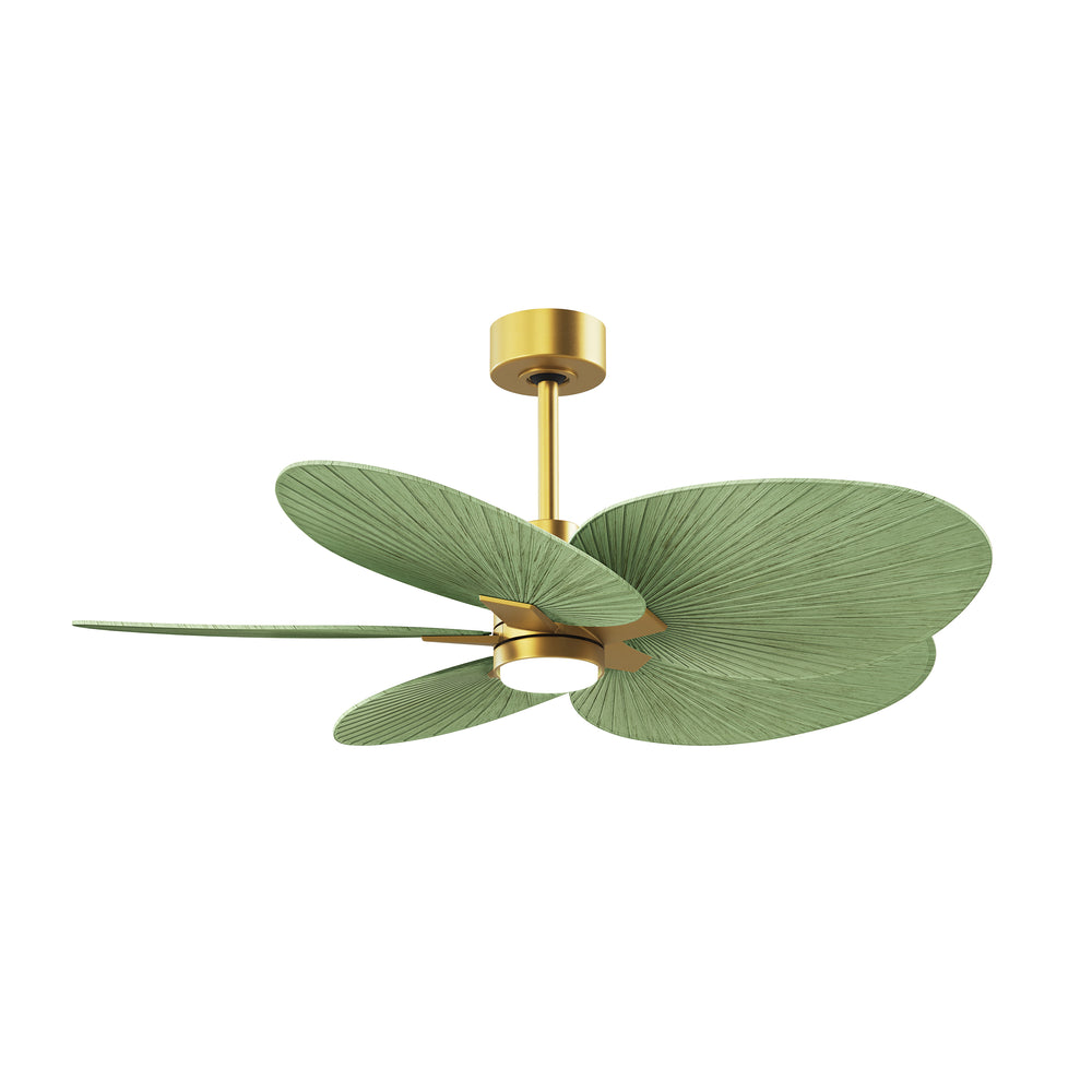 Alessandra Tropical Outdoor Ceiling Fan