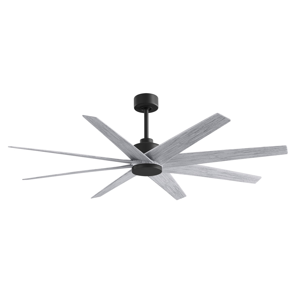 Ariella Outdoor Ceiling Fan
