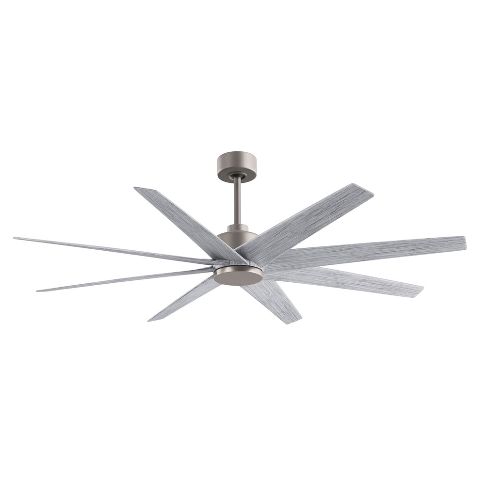 Ariella Outdoor Ceiling Fan