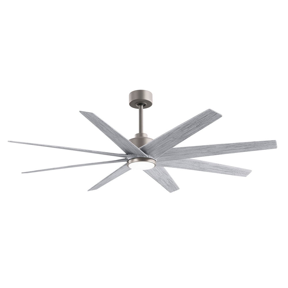 Ariella Outdoor Ceiling Fan With Light