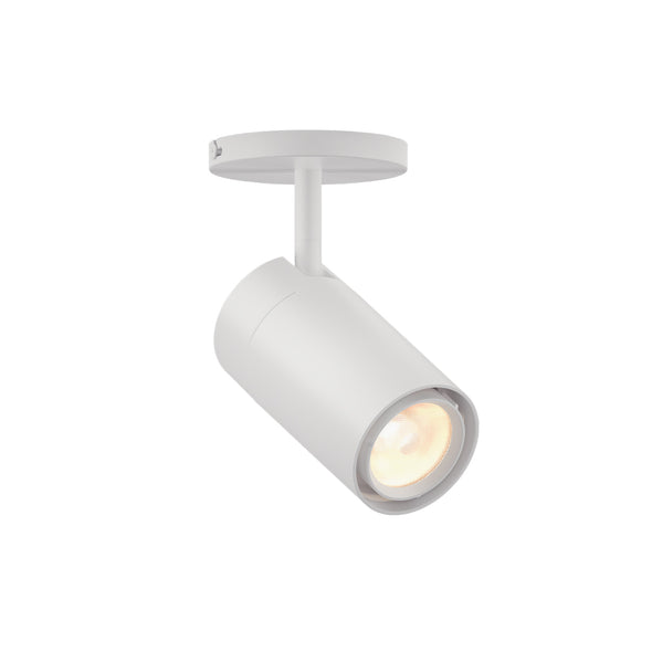 GX25 LED Spot Light