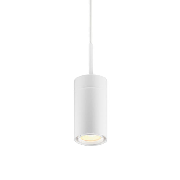 GX25 LED Pendant Light