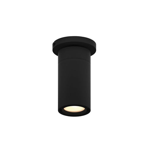 GX25 LED Flush Mount