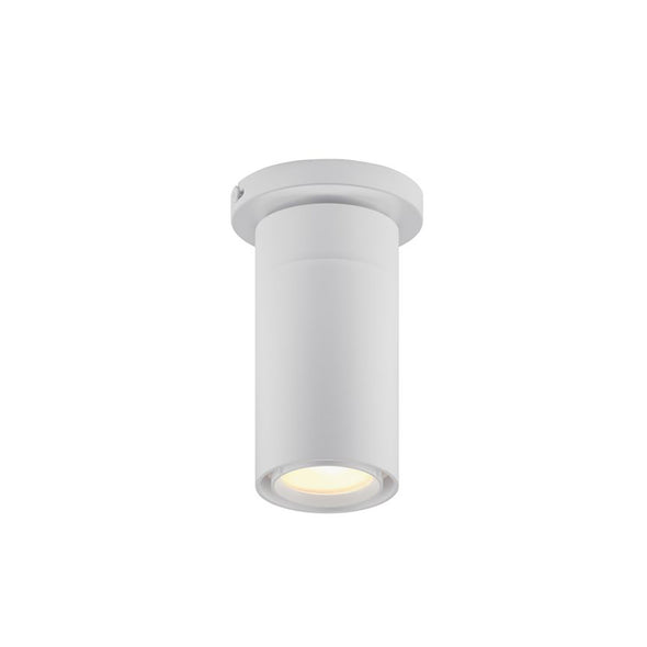 GX25 LED Flush Mount