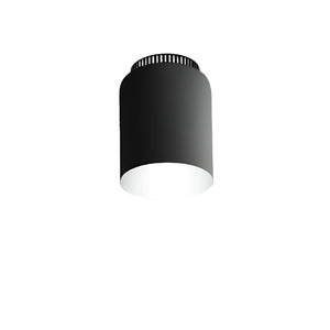 Aspen C17 Flush Mount