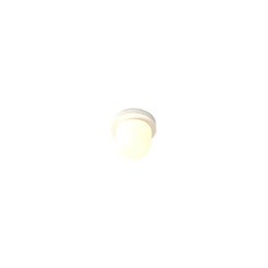 Hoist Outdoor LED Flush Mount