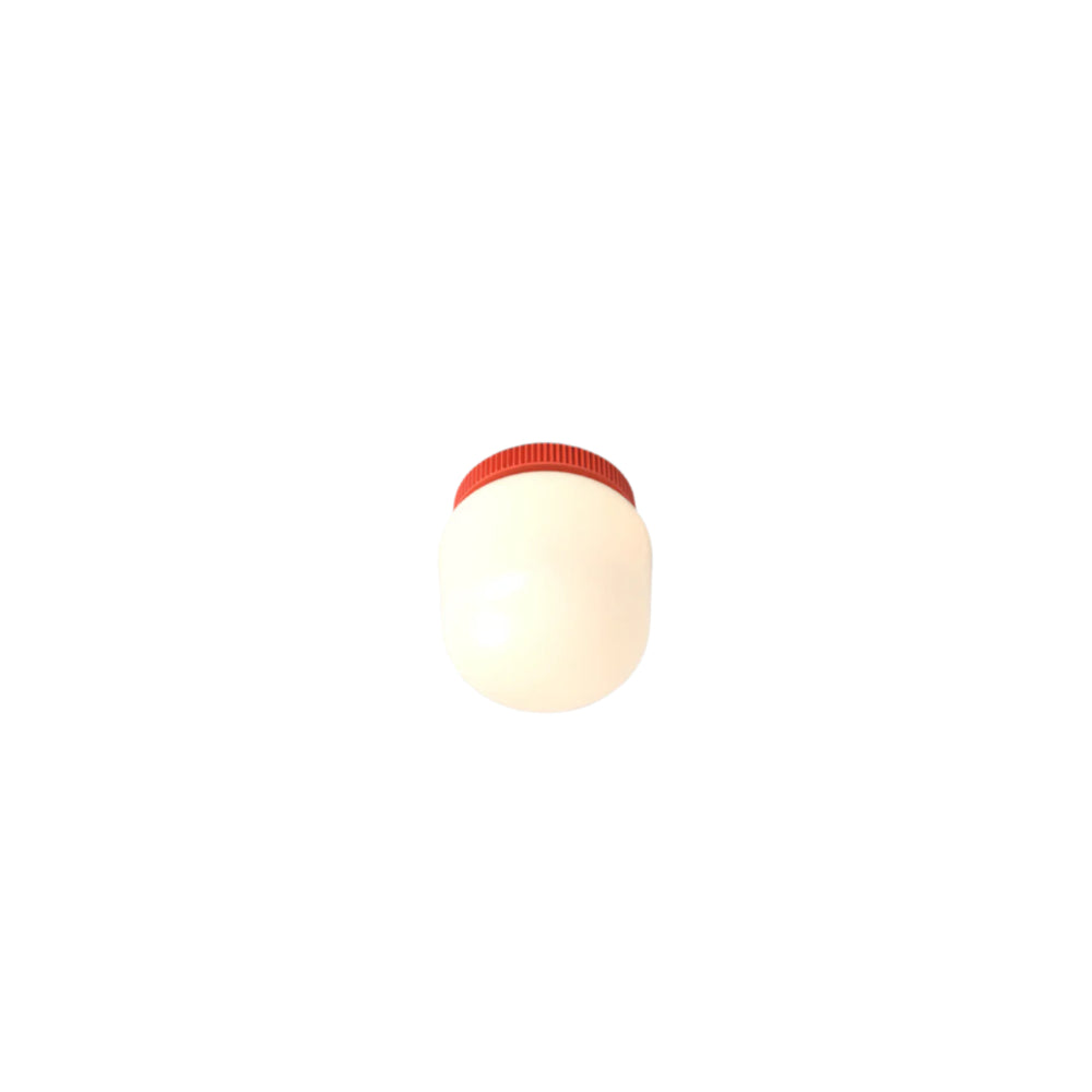 Hoist Outdoor LED Flush Mount