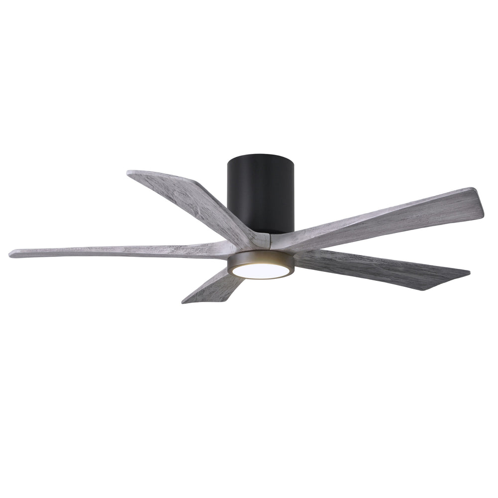 Irene 5HLK Ceiling Fan