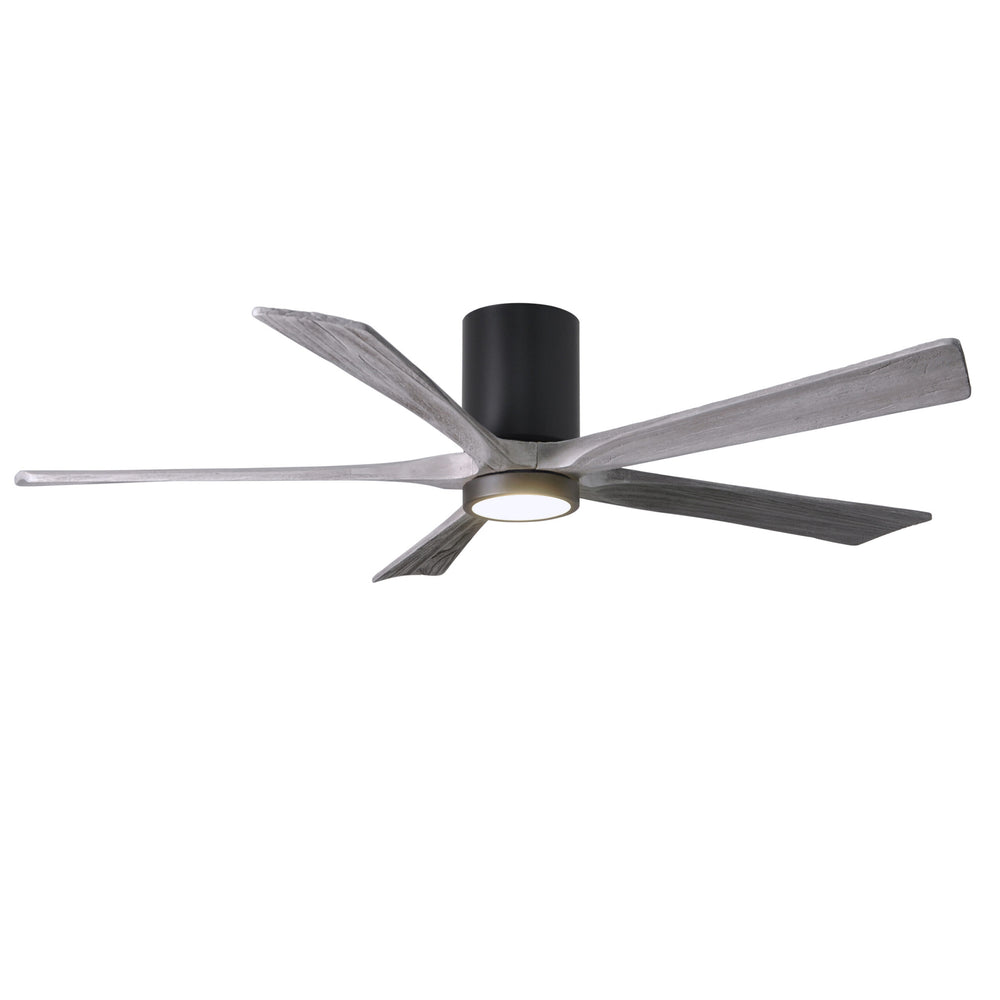 Irene 5HLK Ceiling Fan