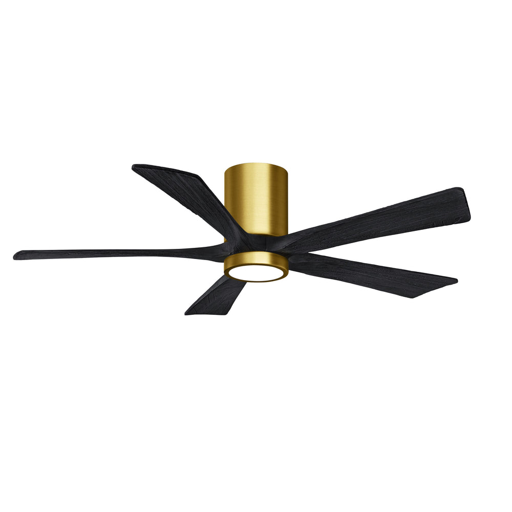 Irene 5HLK Ceiling Fan