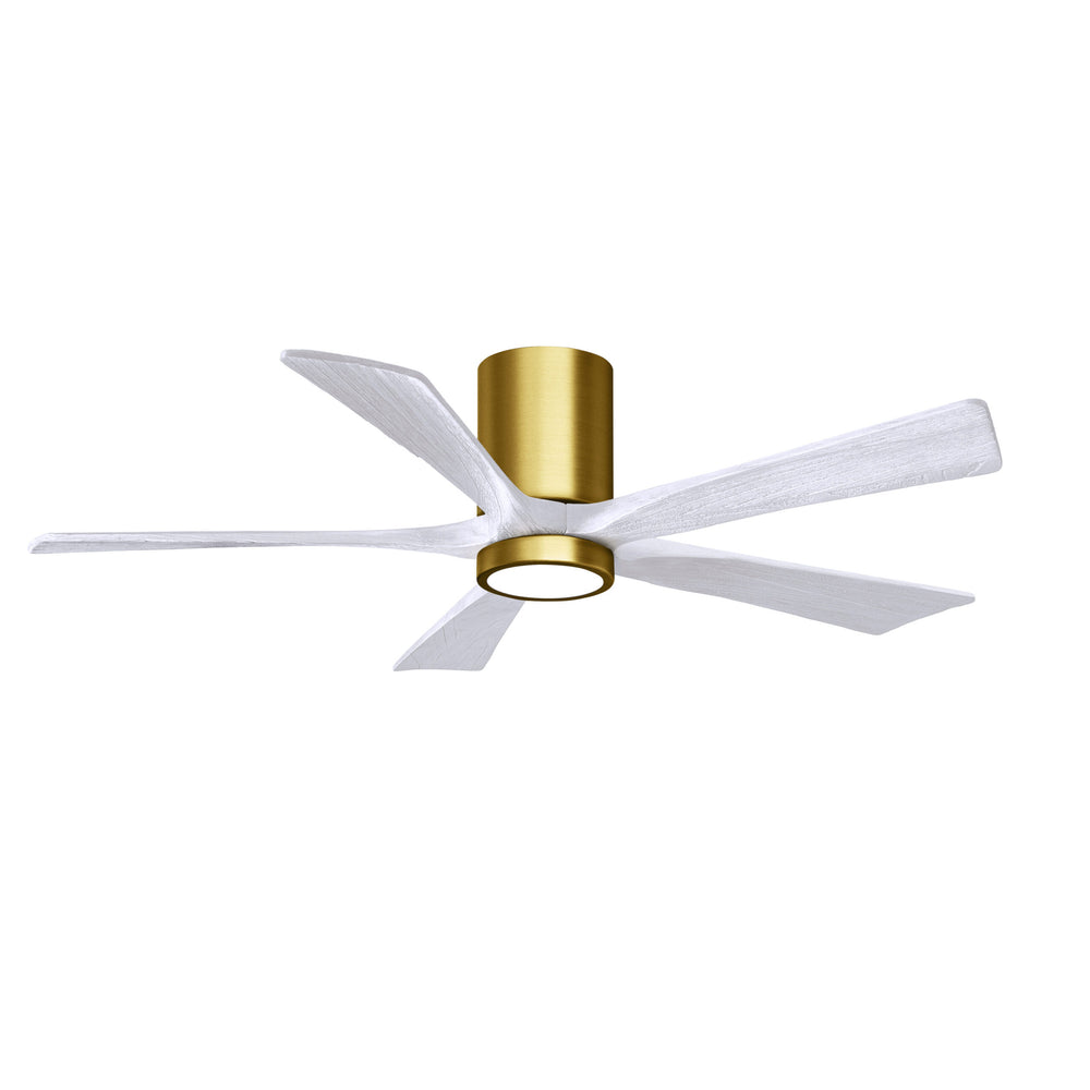 Irene 5HLK Ceiling Fan