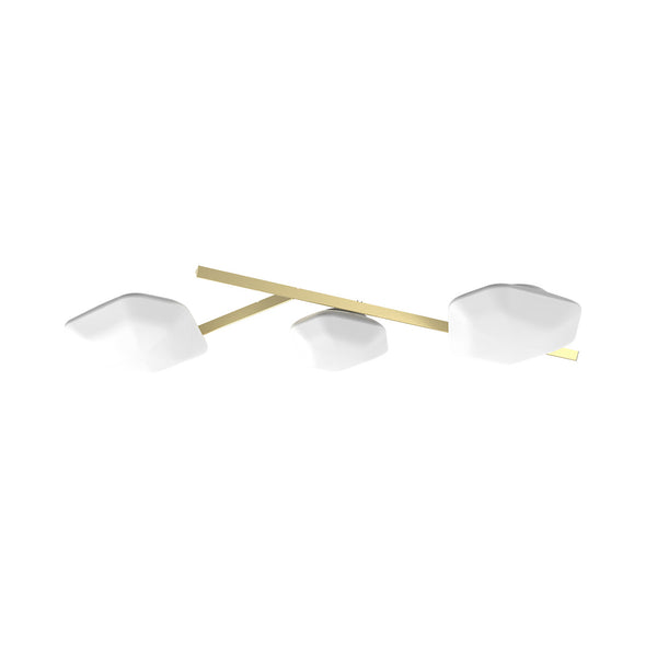 Modulor Multi-Light LED Wall/Ceiling Light