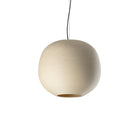 Tierra Pendant Light