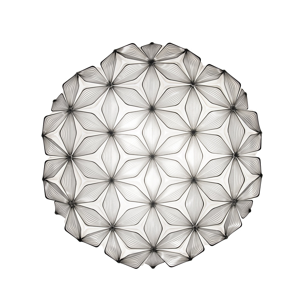 C'est La Vie Ceiling/Wall Light
