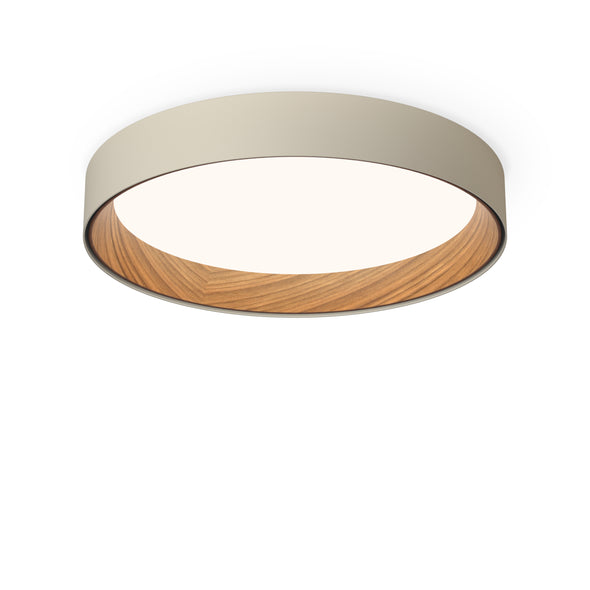 Duo Flush Mount