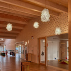 Blum Pendant Light