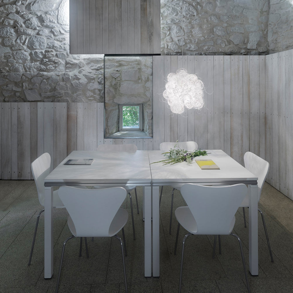 Blum Pendant Light
