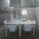 Blum Pendant Light