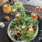 Caos Pendant Light