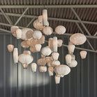Coral Galaxea Pendant Light