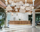 Coral Galaxea Pendant Light