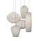 Coral Multi-Light Pendant Light  option 5 Lights