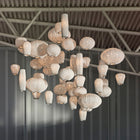 Coral Multi-Light Pendant Light