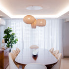 Coral Multi-Light Pendant Light