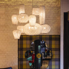 Coral Multi-Light Pendant Light