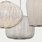 Coral Multi-Light Pendant Light