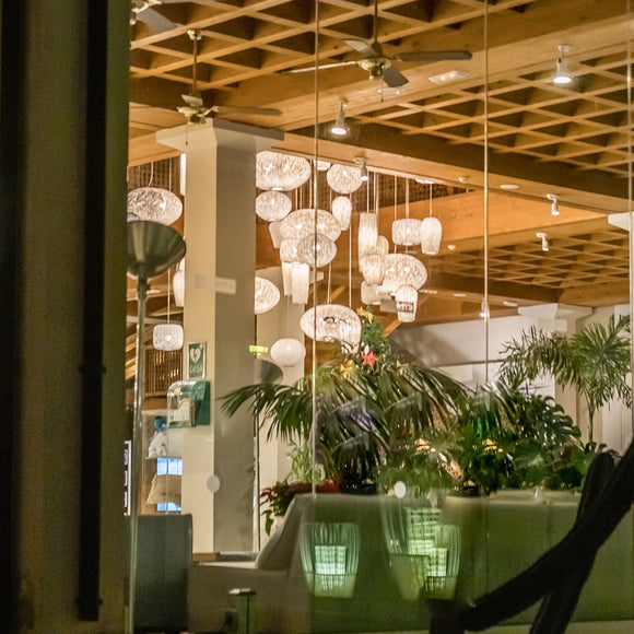 Coral Sea Pendant Light
