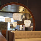 Coral Seaurchin Pendant Light