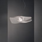 Mytilus LED Pendant Light