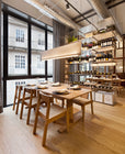 Nebra LED Pendant Light