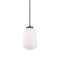 Olivia LED Pendant Light  option Black