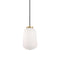 Olivia LED Pendant Light  option Light Antique Brass