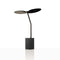 Sage Portable Table Lamp  option Black