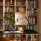 Original 315 LED Desk Lamp