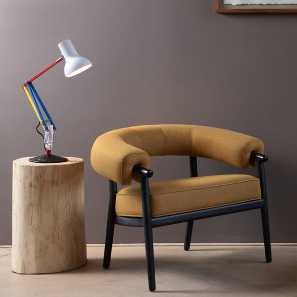Anglepoise Type 75 Mini Desk Lamp - Paul Smith - 2Modern
