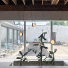 Highwire LED Pendant Light