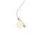Node LED Pendant Light  option Brushed Nickel