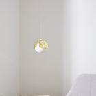 Ohm LED Pendant Light