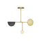 Phase LED Chandelier  option Brushed Brass