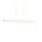 Pola LED Chandelier  option Matte White