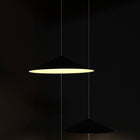 Wisp LED Floor/Pendant Light
