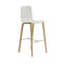 Aava Outdoor Bar and Counter Stool with Wood Base  option PG00011 Snow White / L22 Natural Oak