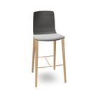 Aava Outdoor Bar and Counter Stool with Wood Base