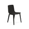 Aava Outdoor Wood Dining Chair with Wood Legs  option L0006 Black / L06 Black